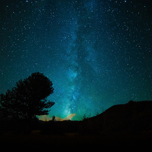 无码免费一区二区三区
